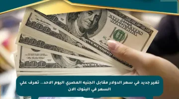 تغير جديد في سعر الدولار مقابل الجنيه المصري اليوم الأحد.. تعرف على السعر في البنوك الآن